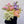 Charger l&#39;image dans la galerie, botte de fleurs françaises de saison colorée
