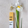 Charger l'image dans la galerie, Bouquet St Valentin
