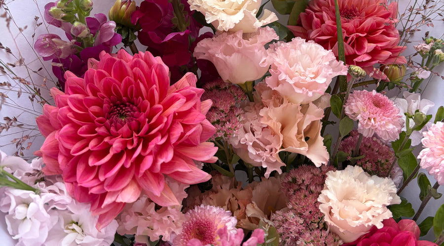 Désirée s'engage pour des fleurs sans pesticides : notre action pour Octobre Rose