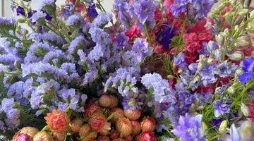 Tuto d'été : Comment faire sécher ses fleurs?