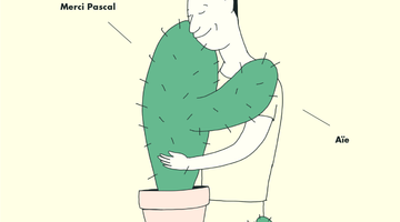 Silence ça pique - grande vente de plantes grasses et cactées
