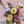 Charger l&#39;image dans la galerie, Bouquet du mois d&#39;Octobre
