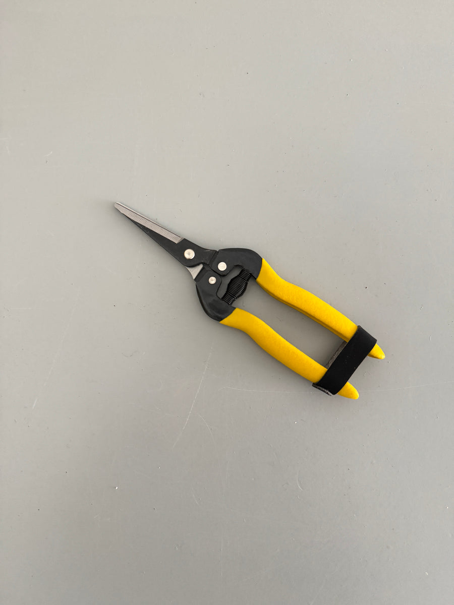 Sécateur de fleuriste