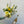 Charger l&#39;image dans la galerie, Accord bouquet pétillant sans alcool Bulles de Jardin 
