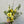 Charger l&#39;image dans la galerie, Bouquet fleurs en livraison 
