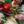 Charger l&#39;image dans la galerie, Cours intensif d&#39;art floral spécial pros
