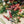 Charger l&#39;image dans la galerie, Cours intensif d&#39;art floral spécial pros
