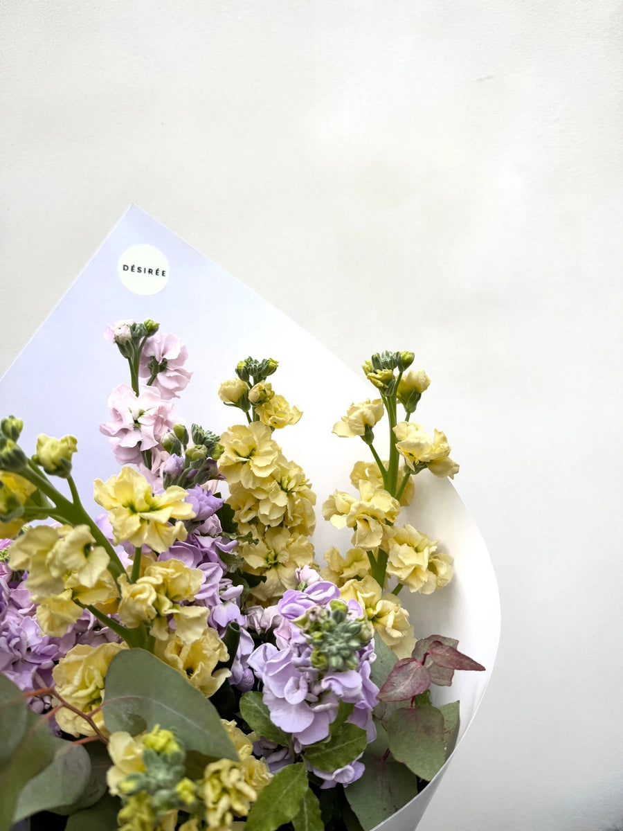 Belle Fleur de la saison : Le giroflée