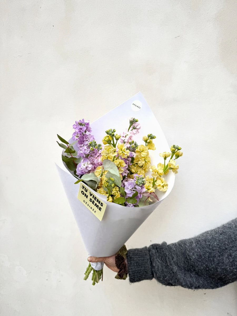 Belle Fleur de la saison : Le giroflée