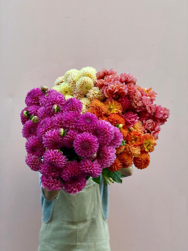 DAHLIAS fleurs locales et de saison livraison paris 