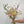 Charger l&#39;image dans la galerie, fleurs séchées durables françaises
