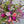 Charger l&#39;image dans la galerie, bouquet original de fleurs françaises pour la fête des mères 
