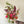 Charger l&#39;image dans la galerie, bouquet coloré de fleurs locales de saison en livraison à paris à vélo
