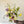 Charger l&#39;image dans la galerie, bouquet de fleurs locales et de saison en livraison à paris
