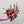Charger l&#39;image dans la galerie, bouquet rouge champêtre avec vin en circuit court
