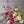 Charger l&#39;image dans la galerie, comment réaliser un centre de table en fleurs fraiches
