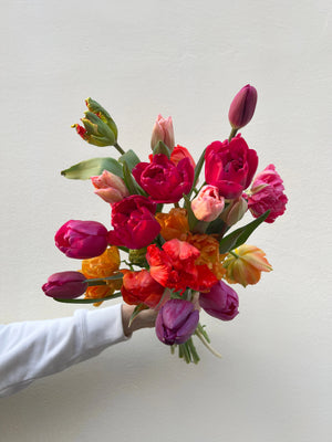 Collection de tulipes