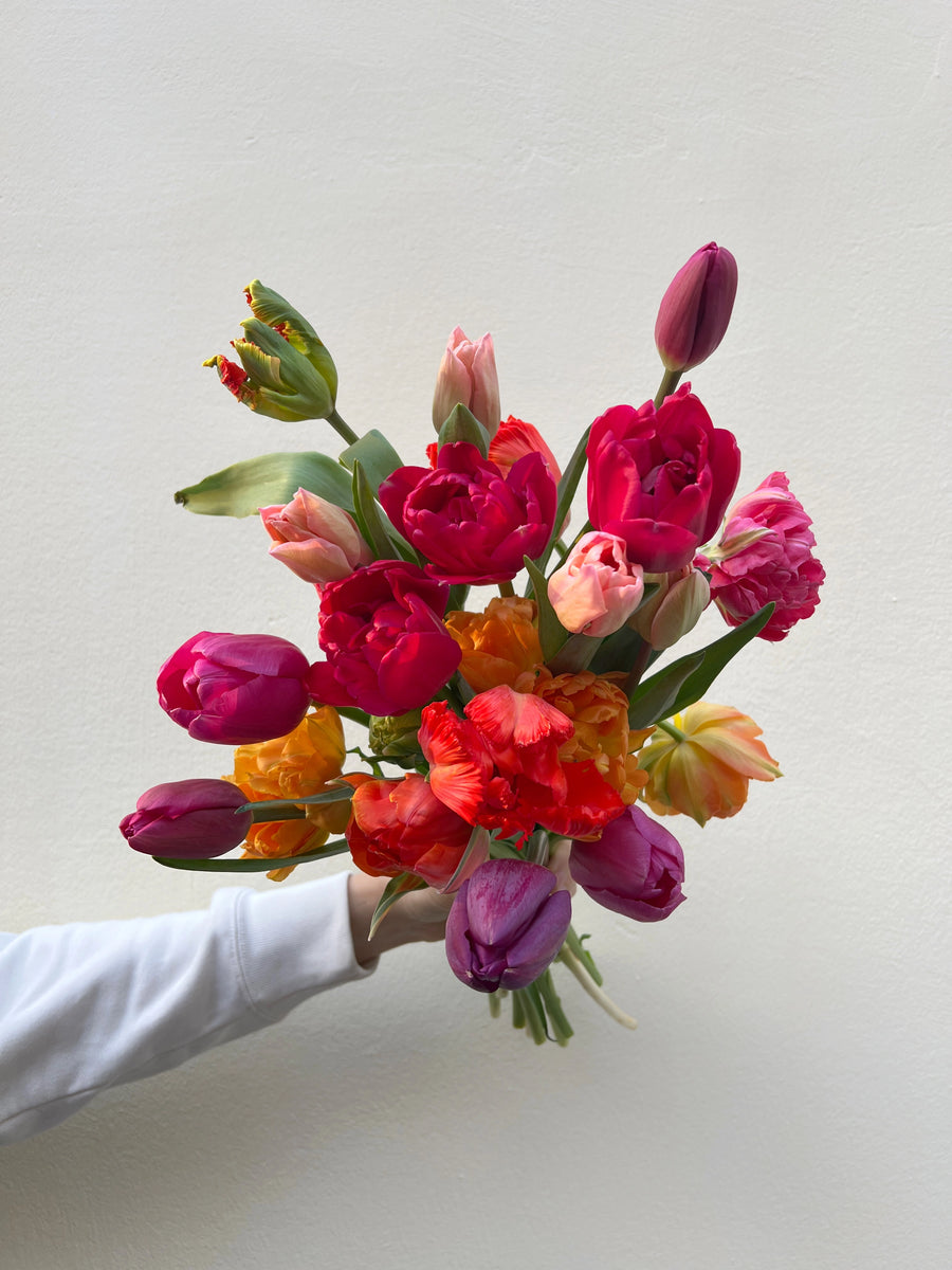 Collection de tulipes