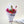 Charger l&#39;image dans la galerie, Collection de tulipes
