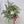 Charger l&#39;image dans la galerie, couronne de noel végétale naturelle livraison paris
