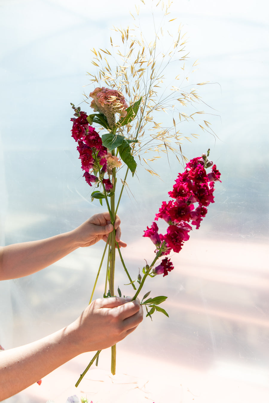 Désirée - le livre