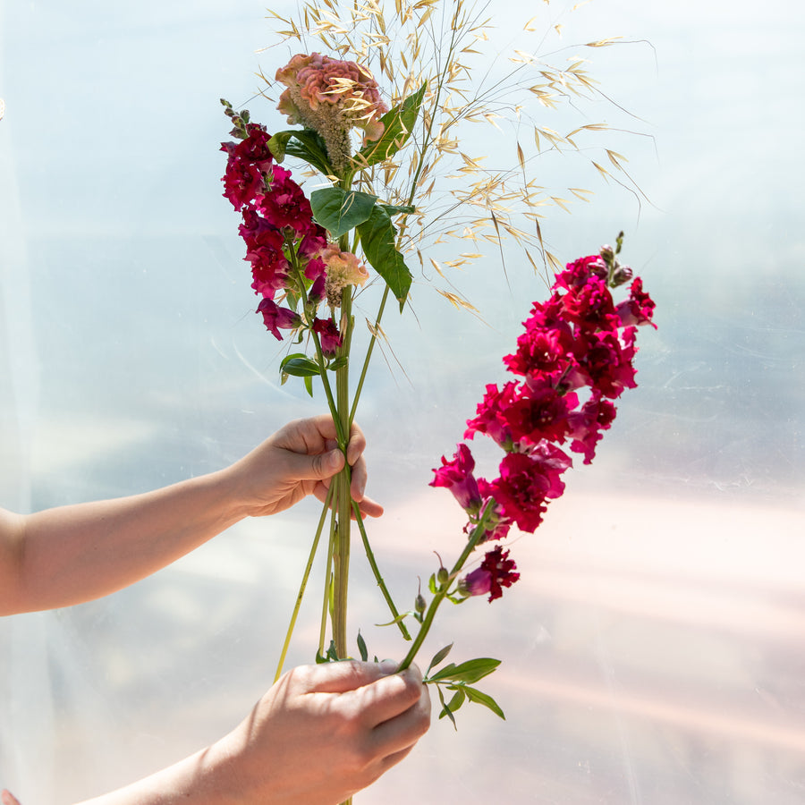 Désirée - le livre