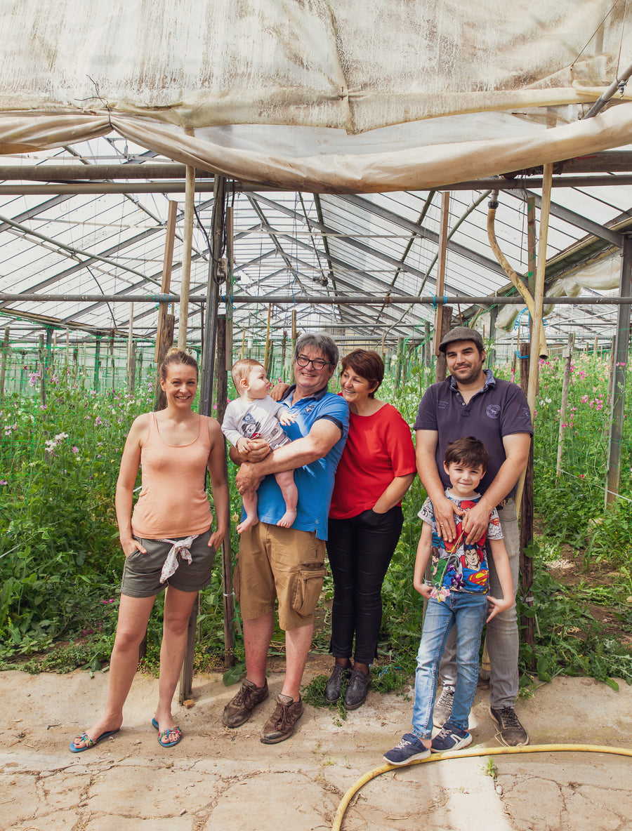 Désirée - le livre