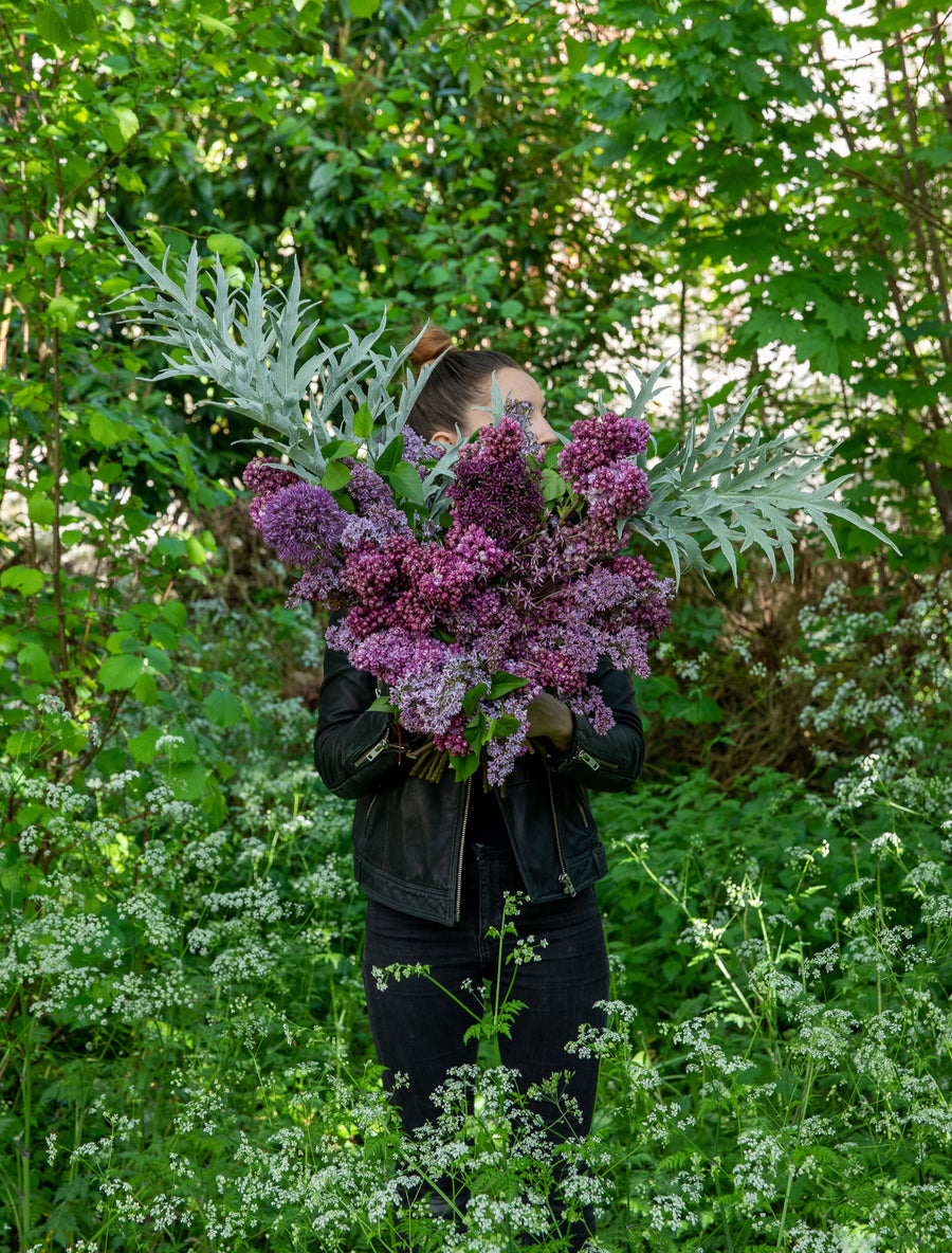 Désirée - le livre