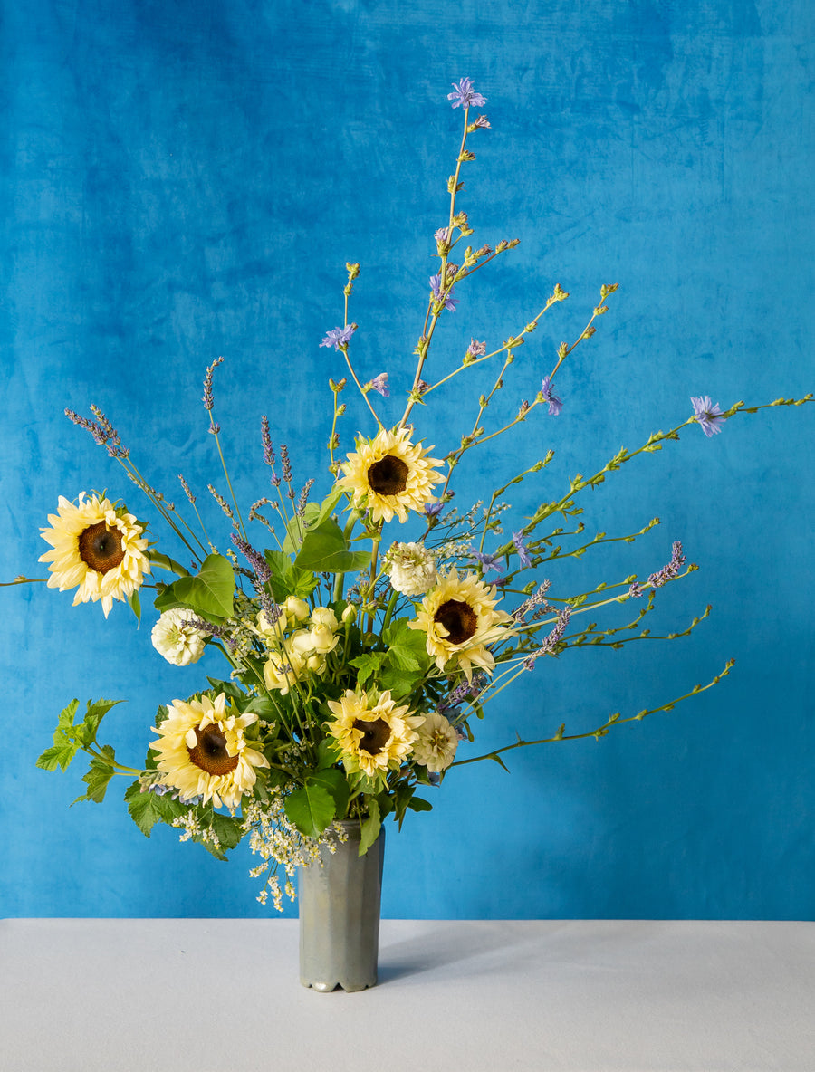 Désirée - le livre