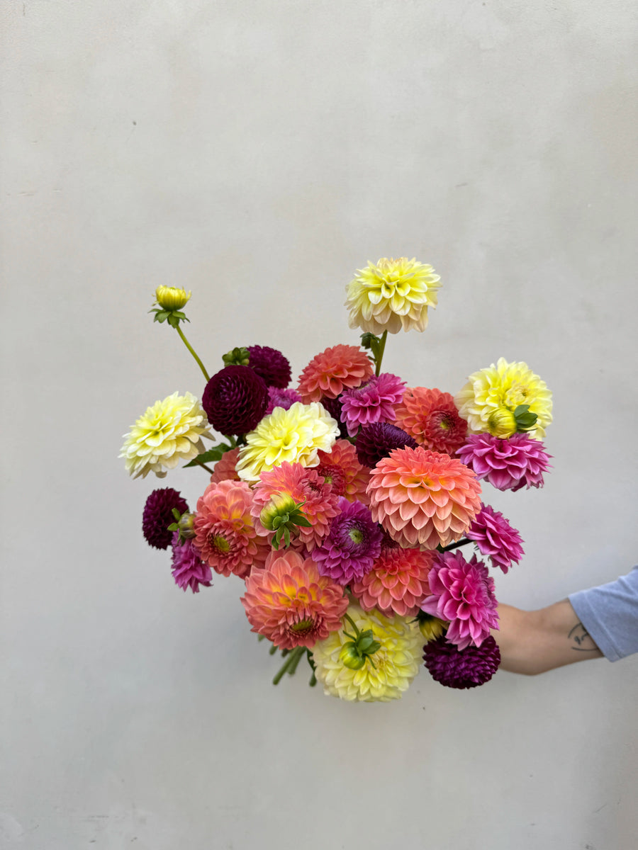 Giga Botte de dahlias d'Île de France