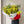 Charger l&#39;image dans la galerie, Botte de mimosa
