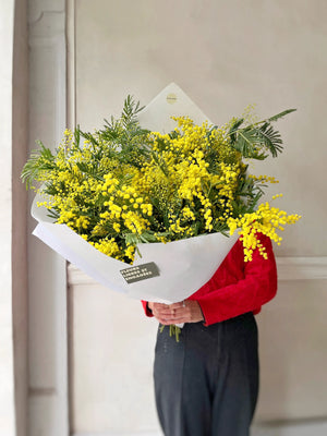 Botte de mimosa