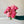 Charger l&#39;image dans la galerie, pivoines roses locales et de saison fleuriste paris

