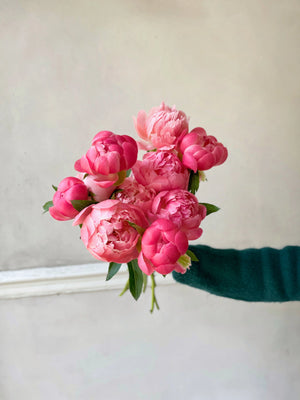 pivoines roses locales et de saison fleuriste paris