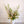 Charger l&#39;image dans la galerie, vase artisanal et bouquet sur mesure livraison vélo paris
