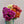 Charger l&#39;image dans la galerie, dahlias fleurs de saison automne livraison fleuriste paris

