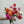 Charger l&#39;image dans la galerie, dahlias livraison bouquet écoresponsable fleurs Paris 
