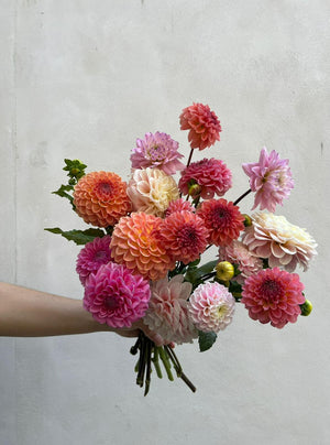 dahlias livraison bouquet écoresponsable fleurs Paris 
