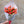 Charger l&#39;image dans la galerie, tulipe locale et de saison en livraison à Paris à vélo
