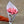 Charger l&#39;image dans la galerie, tulipe locale et de saison en livraison à Paris à vélo
